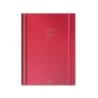 Cuaderno aula planner additio din a4 160 paginas plan anual y mensual con programacion y evaluacion catalan