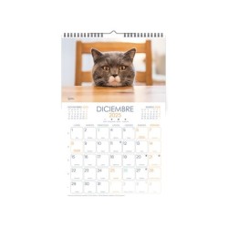 Calendarios liderpapel 2025 pack de 24 unidades diseños surtidos lote