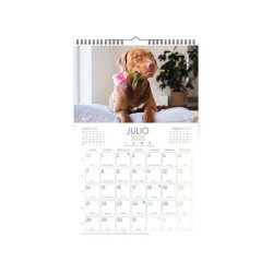 Calendarios liderpapel 2025 pack de 24 unidades diseños surtidos lote