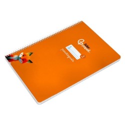 Cuaderno espiral liderpapel din a4 pautaguia tapa dura 80h 90 gr cuadro pautado 5mm color naranja