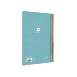 Recambio antartik a4 100 hojas 90g/m2 puntos 4 taladros bandas de 5 colores