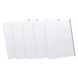 Recambio liderpapel a4 20050 hojas 90g/m2 cuadro 5 mm 4 taladros bandas de 5 colores