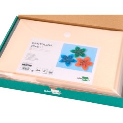Cartulina liderpapel a4 180g/m2 crema paquete de 255 hojas en carpeta dossier transparente con cierre velcro