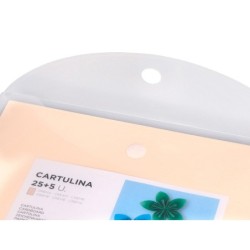 Cartulina liderpapel a4 180g/m2 crema paquete de 255 hojas en carpeta dossier transparente con cierre velcro
