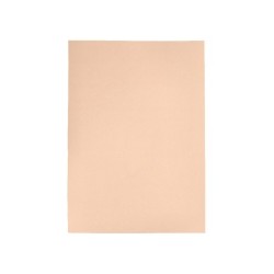 Cartulina liderpapel a4 180g/m2 crema paquete de 255 hojas en carpeta dossier transparente con cierre velcro