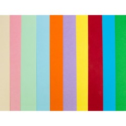 Cartulina liderpapel 50x65 cm 180g/m2 10 colores surtidos paquete de 10 hojas