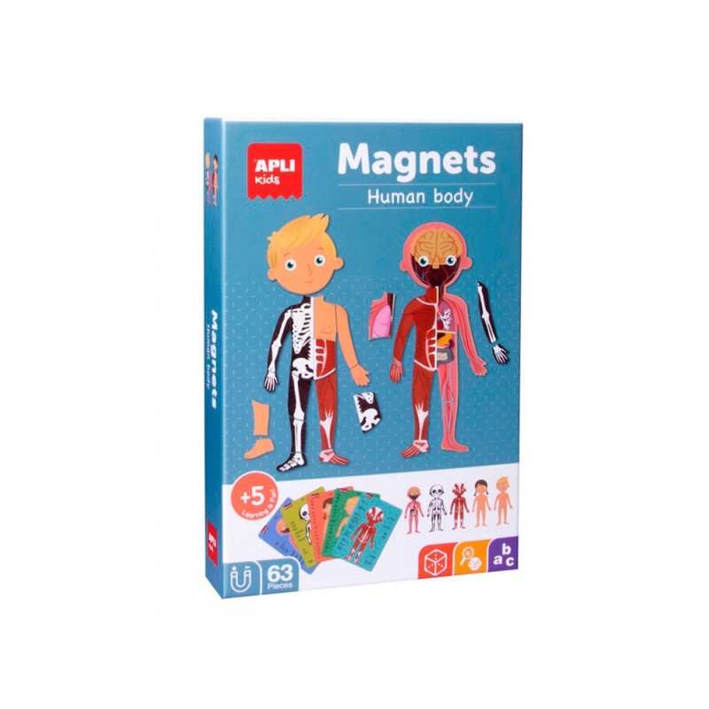 Juego apli didactico magnetico el cuerpo humano Juego apli didactico magnetico el cuerpo humano