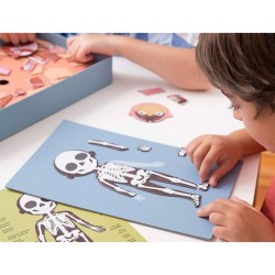 Juego apli didactico magnetico el cuerpo humano