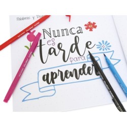 Set de dibujo alpino iniciacion al lettering 12 rotuladores punta fina y punta pincel colores surtidos