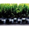 Etiqueta adhesiva resistente avery poliester blanco laser 45,7x21,2 mm caja de 960 unidades