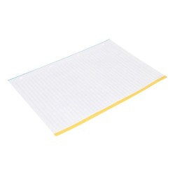 Recambio antartik a4 100 hojas 100g/m2 rayado horizontal 4 taladros bandas de 5 colores