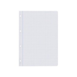 Recambio liderpapel a4 100 hojas 100g/m2 cuadro 3mm con margen 4 taladros