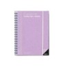 Cuaderno de todas las clases profesorado addittio 256 paginas dia pagina color verde 170x240 mm
