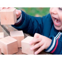 Juego didactico andreutoys 10 cubos sensoriales con sonido madera