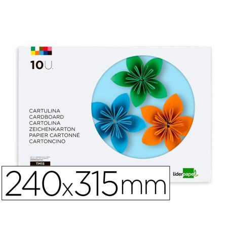 Bloc trabajos manuales liderpapel cartulina 240x315mm 10 hojas 5 colores neon  5 colores intensos