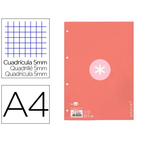 Recambio a4 antartik 80 hojas 90g/m2 cuadro 5 mm 4 taladros 1 banda marco color rosa
