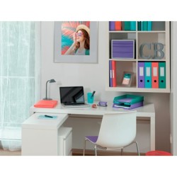 Archivador de palanca esselte colour breeze carton forrado pvc din a4 lomo 75 mm color malva