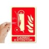 Pictograma archivo 2000 carro extintor pvc rojo luminiscente 210x300 mm