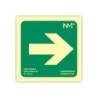 Pictograma archivo 2000 flecha derecha pvc verde luminiscente 224x224 mm