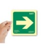 Pictograma archivo 2000 flecha derecha pvc verde luminiscente 224x224 mm