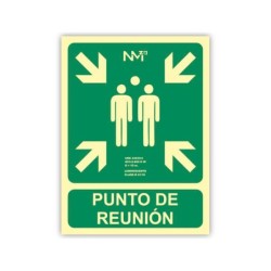 Pictograma archivo 2000 punto de reunion pvc verde luminiscente 224x300 mm
