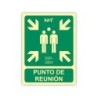 Pictograma archivo 2000 punto de reunion pvc verde luminiscente 224x300 mm
