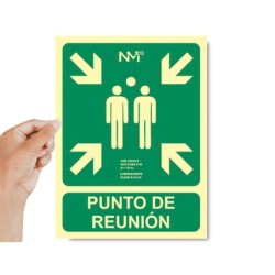 Pictograma archivo 2000 punto de reunion pvc verde luminiscente 224x300 mm