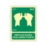 Pictograma archivo 2000 empujar barra para abrir puerta pvc verde luminiscente 224x300 mm