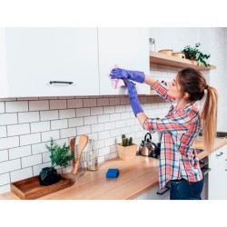Limpiador desinfectante sanytol para cocinas con pistola pulverizadora bote de 750 ml