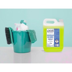 Fregasuelos dahi aroma limon garrafa de 5 litros