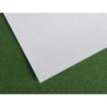 Papel secante canson 50x65 cm liso blanco 250 gr