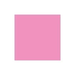 Cartulina guarro rosa chicle 50x65 cm 185 gr