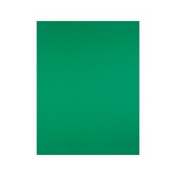 Cartulina liderpapel 50x65 cm 180g/m2 verde navidad paquete de 25 hojas