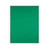 Cartulina liderpapel 50x65 cm 180g/m2 verde navidad paquete de 25 hojas