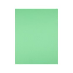 Cartulina liderpapel 50x65 cm 180g/m2 verde hierba paquete de 25 hojas