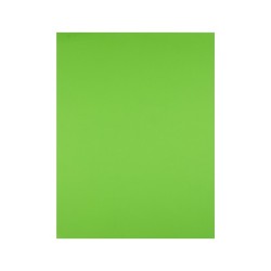 Cartulina liderpapel 50x65 cm 180g/m2 verde pistacho paquete de 25 hojas