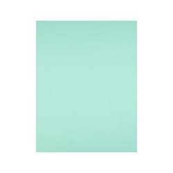 Cartulina liderpapel 50x65 cm 180g/m2 verde paquete de 25 hojas