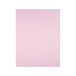 Cartulina liderpapel 50x65 cm 180g/m2 rosa paquete de 25 hojas