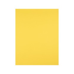 Cartulina liderpapel 50x65 cm 180g/m2 amarillo limon paquete de 25 hojas