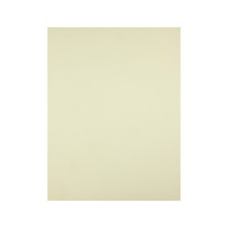 Cartulina liderpapel 50x65 cm 180g/m2 amarillo paquete de 25 hojas
