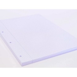 Recambio oxford a4 100  20 hojas gratis 90 gr cuadro 4mm 4 taladros