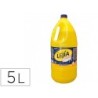 Lejia caprichosa garrafa de 5 litros