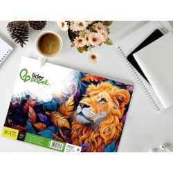 Bloc dibujo liderpapel artistico encolado 230x325mm 20 hojas 180 g/m2 sin recuadro