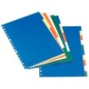 Separador esselte plastico juego de 10 separadores din a4 con 5 colores multitaladro