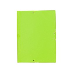 Carpeta liderpapel gomas plastico folio solapas color verde pistacho