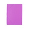 Carpeta liderpapel gomas plastico folio solapas color lila