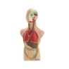 Juego miniland anatomia humana 11 piezas 50 cm
