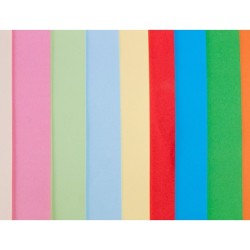 Papel color liderpapel a3 80gr 10 colores surtidos paquete 100 hojas