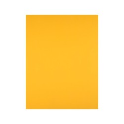 Cartulina liderpapel 50x65 cm 180 gr oro viejo paquete de 25 hojas