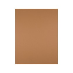 Cartulina liderpapel 50x65 cm 180 gr marron escolar paquete de 25 hojas